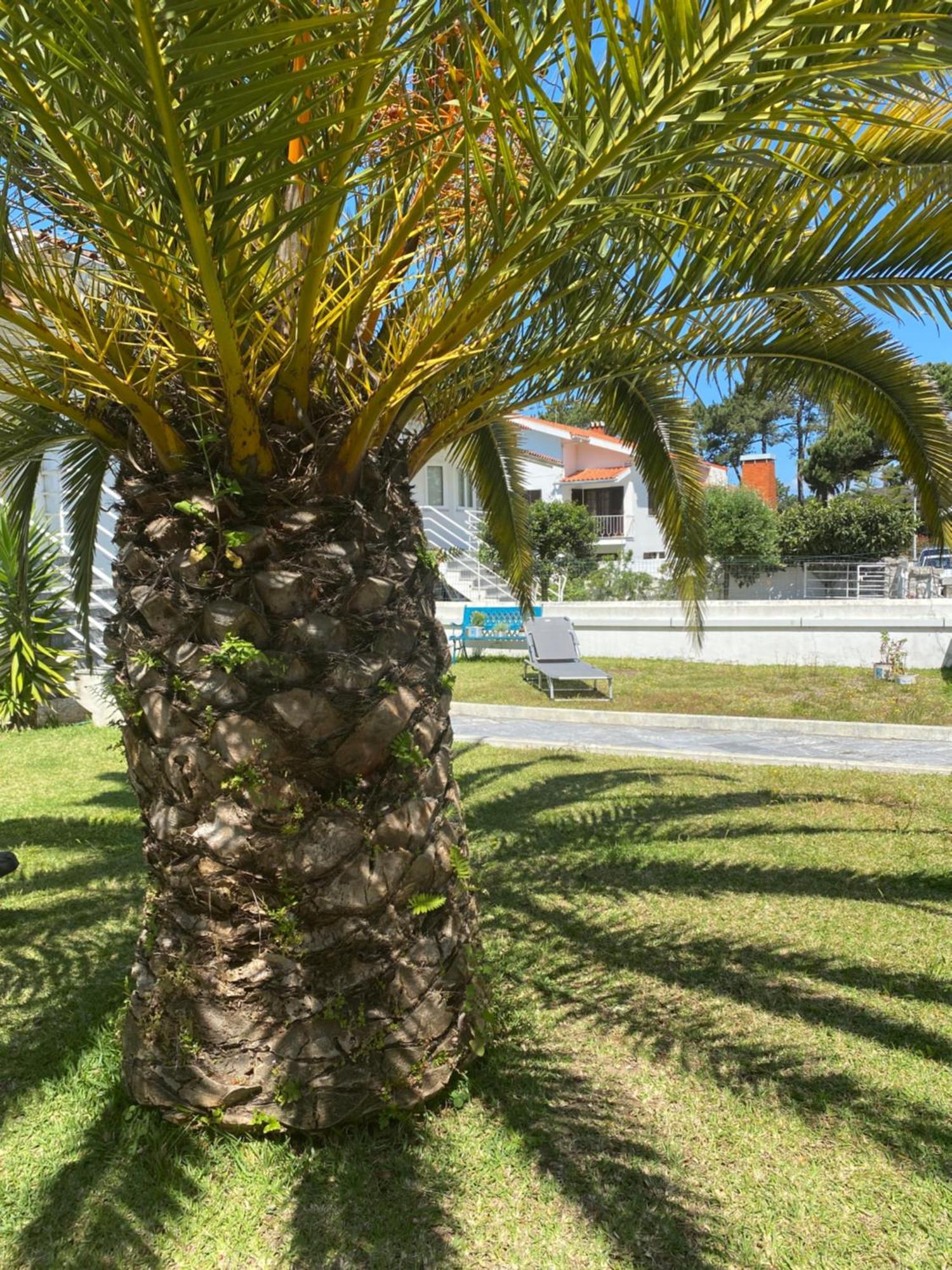Apartment Itaca Experience Playa Do Cabedelo *